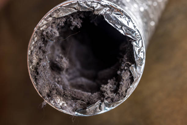 Best Air Duct Cleaning Near Me  in East Vineland, NJ