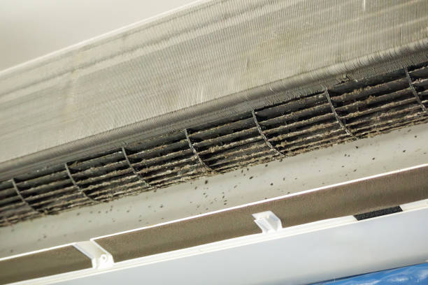 Best Air Duct Cleaning Near Me  in East Vineland, NJ