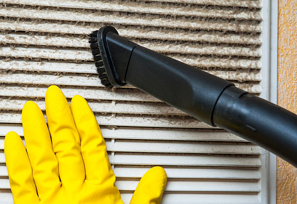 Best Professional Duct Cleaning Services  in East Vineland, NJ